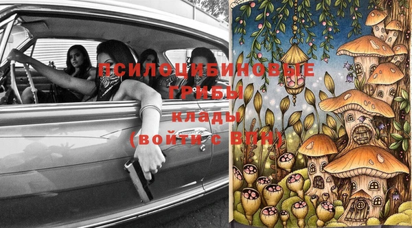 трава Абаза
