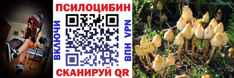 купить наркотик  Ялта  Псилоцибиновые грибы ЛСД 