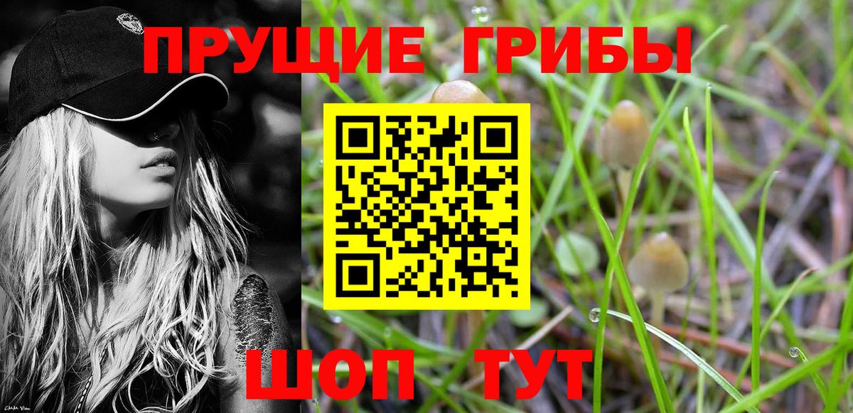 Галлюциногенные грибы GOLDEN TEACHER  Вход с VPN  Ялта 