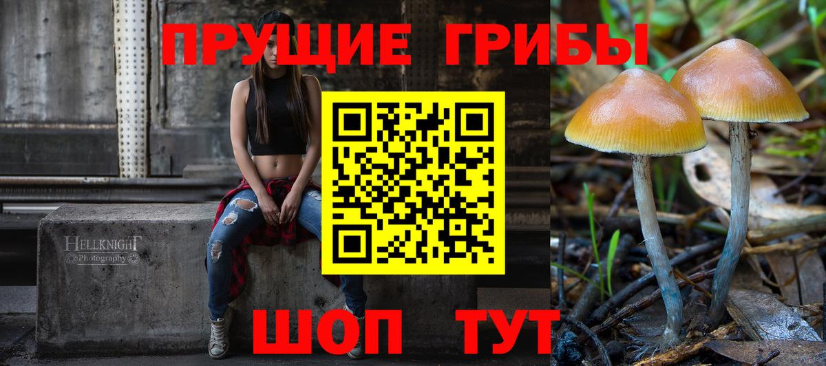 Галлюциногенные грибы Psilocybine cubensis Ялта